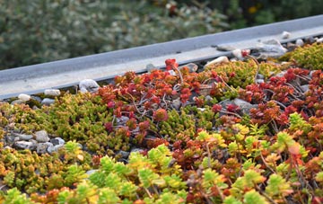 the cost of Goldthorpe green roof installation