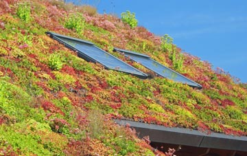 Goldthorpe living roof systems