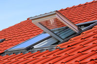 Goldthorpe roof window